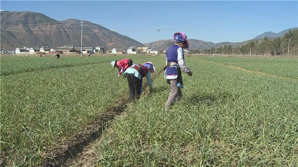 HM詳解土壤養(yǎng)分速測(cè)儀怎么用？