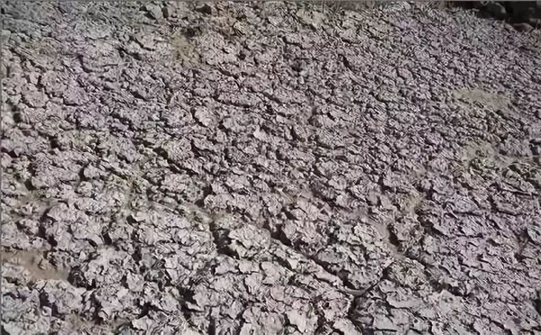 自動(dòng)氣象站既能監(jiān)測(cè)環(huán)境也可以計(jì)算制定改善方案 自動(dòng)氣象站既能監(jiān)測(cè)環(huán)境也可以計(jì)算制定改善方案