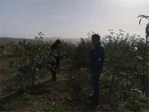 如何土壤檢測儀讓土壤變酸? 如何土壤檢測儀讓土壤變酸?