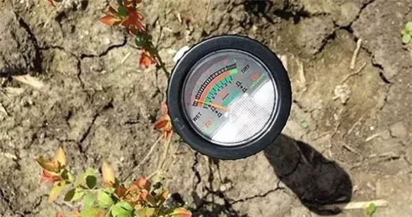 1553775148690881.jpg 5b0988e595225.cdn.sohucs.com_images_20181120_ff0184ec3db747e391eea64f99499595.jpg