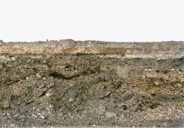 土壤養分快速測定儀在空間分析中的應用 土壤養分快速測定儀在空間分析中的應用