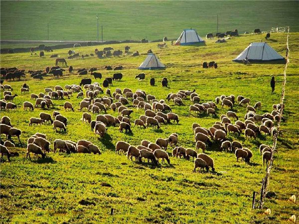 土壤溫度轉速表-土壤溫度計的主要功能是什么 土壤溫度轉速表-土壤溫度計的主要功能是什么