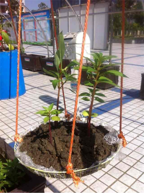 土壤養分檢測儀的報價及基本原理技術 土壤養分檢測儀的報價及基本原理技術