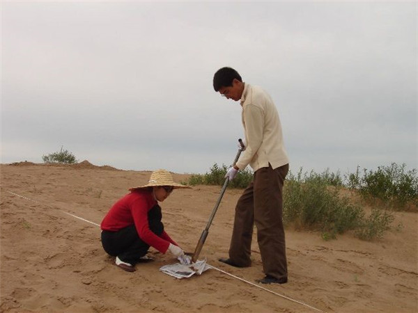 土壤酸堿度快速測量儀：多少錢及其原理、技術功能