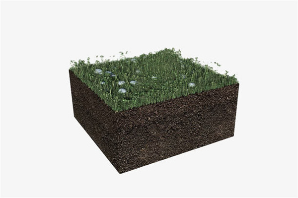 植物病毒檢測儀快速檢測植物病毒危害 植物病毒檢測儀快速檢測植物病毒危害