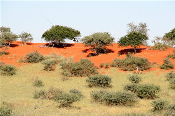 土壤養分測試儀的理論和功能特性 土壤養分測試儀的理論和功能特性
