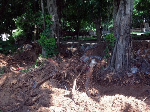 用土壤重金屬檢測儀分析土壤中有害重金屬的方法 用土壤重金屬檢測儀分析土壤中有害重金屬的方法